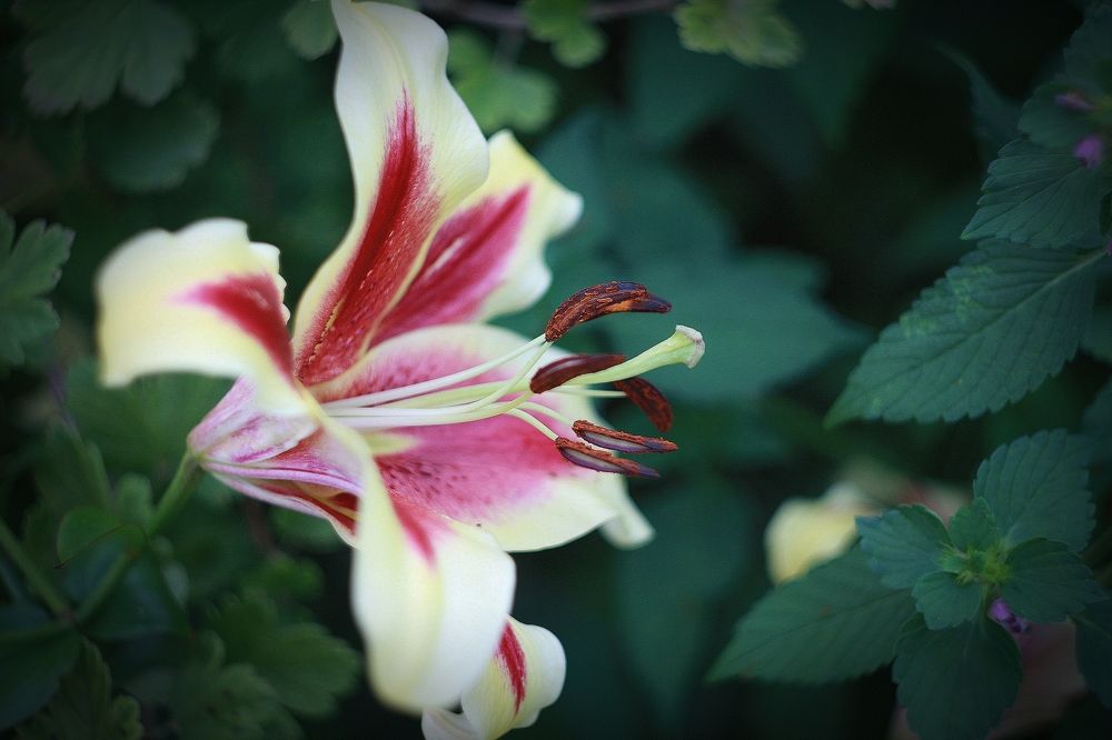 Photograph by Эдуард Попов