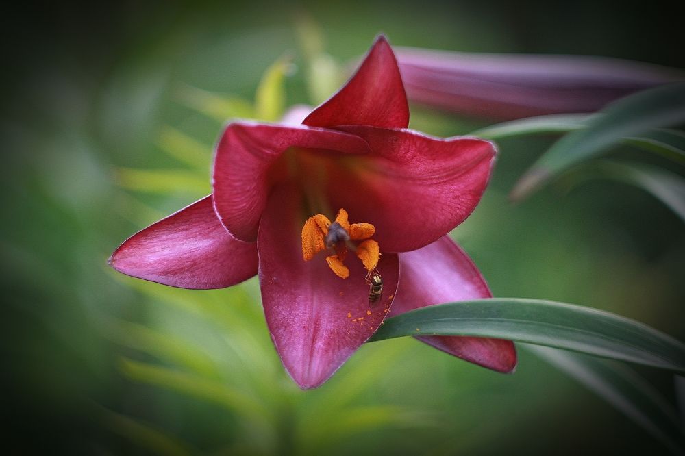 Photograph by Эдуард Попов