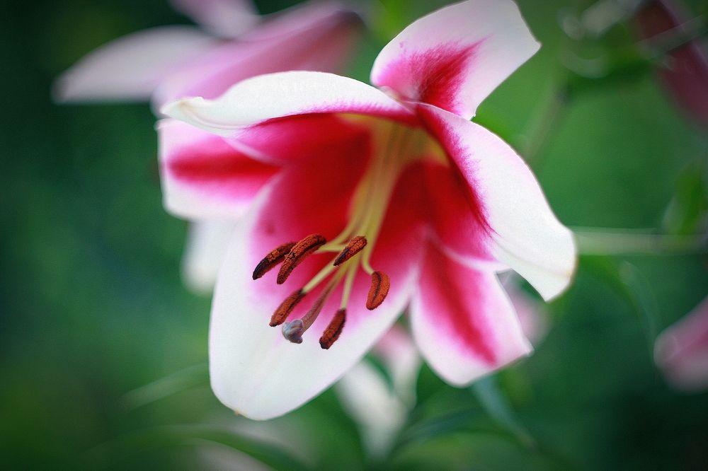 Photograph by Эдуард Попов