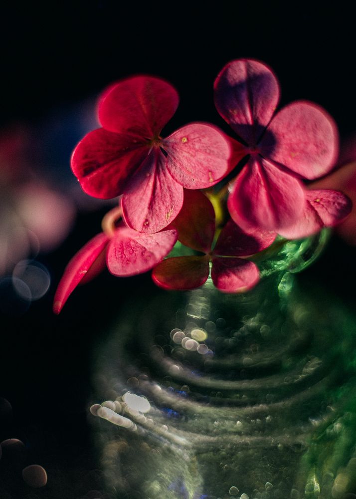 Photograph by Сергеева Марина