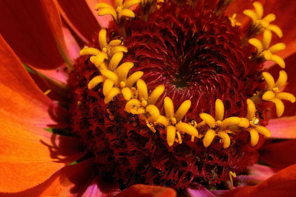 Photograph by Илья Чирков