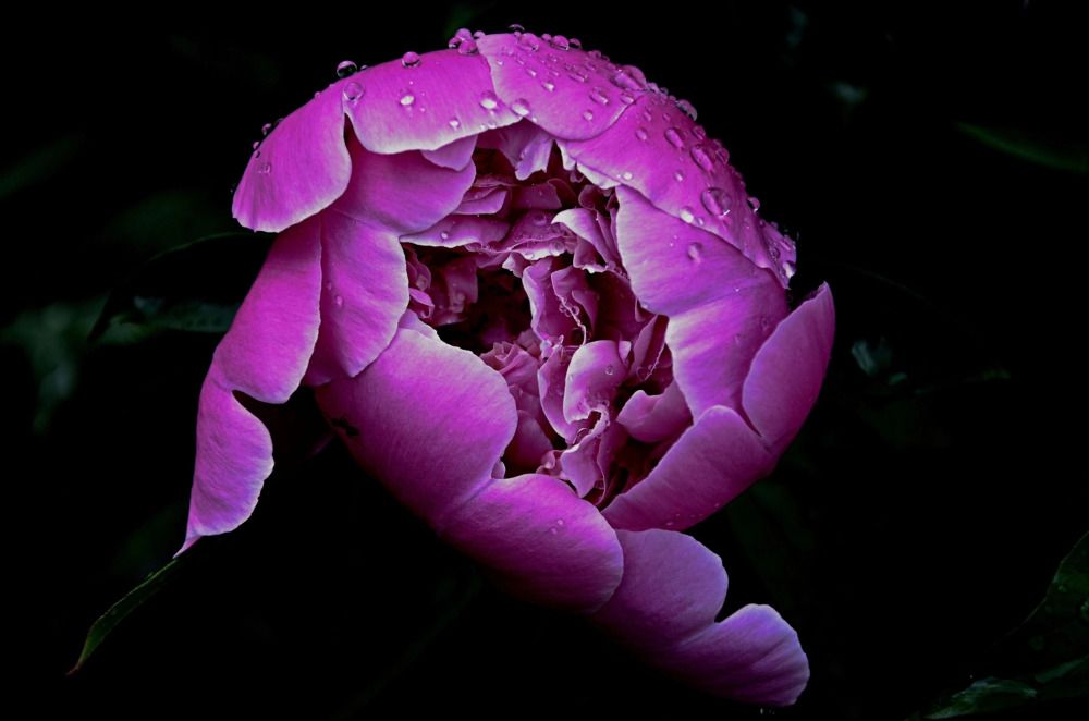 Photograph by Зыкова Мария