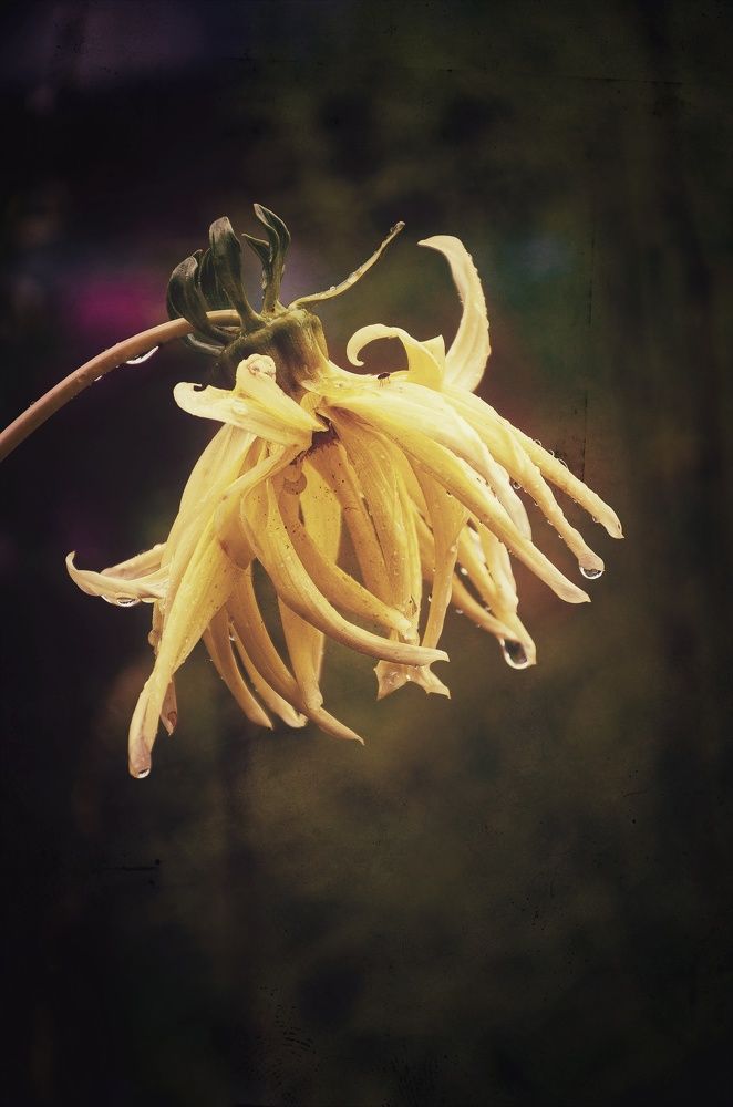 Photograph by Зыкова Мария