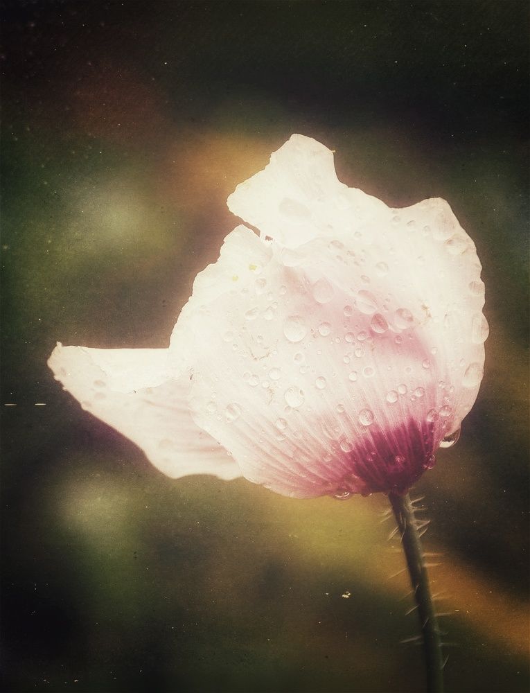 Photograph by Зыкова Мария