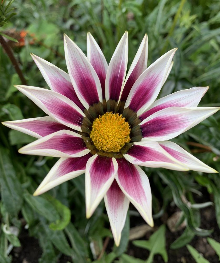 Photograph by Игорь Ребров