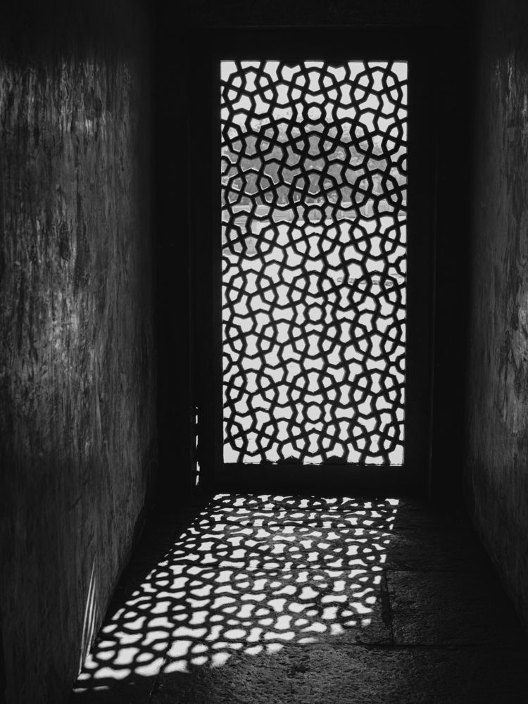 Фотография автора savitri Rawat