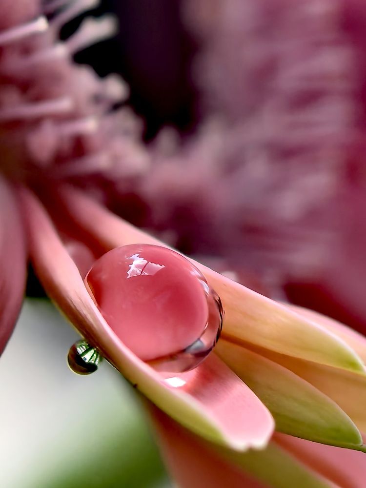 Photograph by Анна Епанчинцева