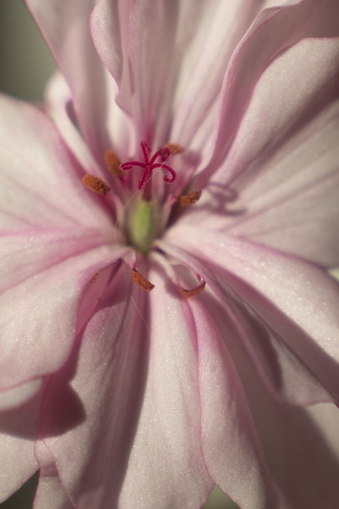 Photograph by Анна Малышева
