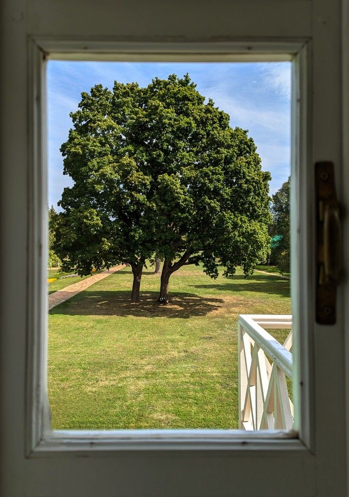 Photograph by AlexaL