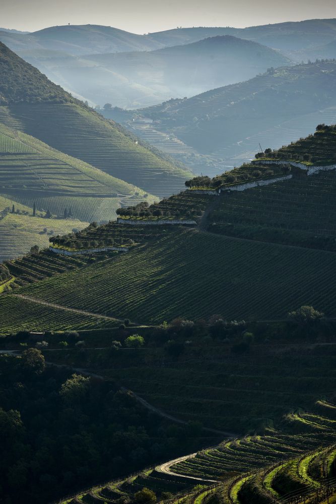 Douro Wine Region