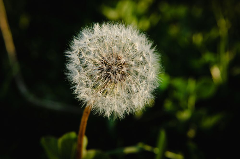 Фотография автора Екатерина Лапаева
