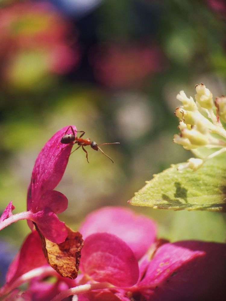Photograph by Ольга Юминова