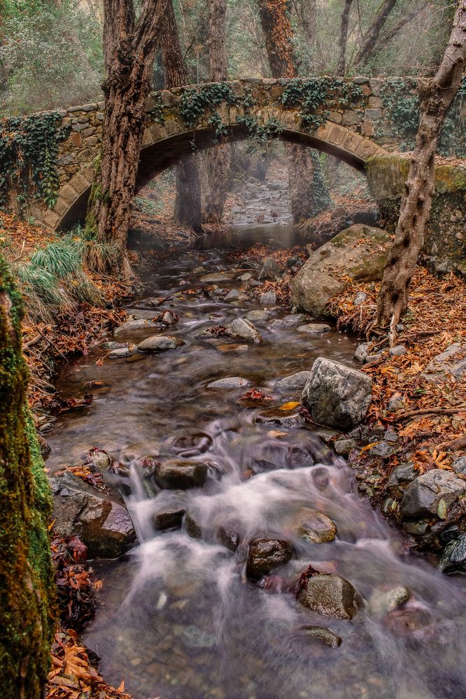 Photograph by Дьяченко Алёна