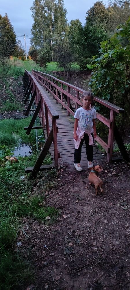 Photograph by Татьяна Перепелкина