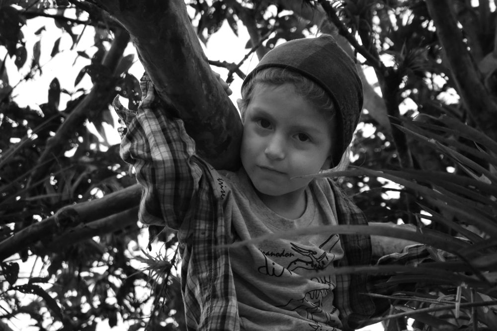 Photograph by Andrés Valencia