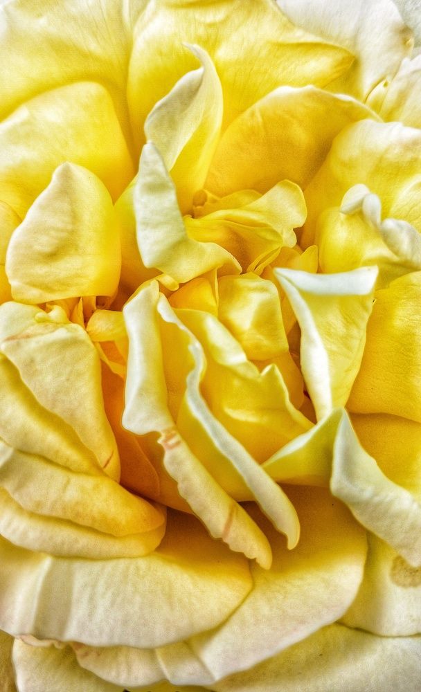 Фотография автора Valerya Vasileva