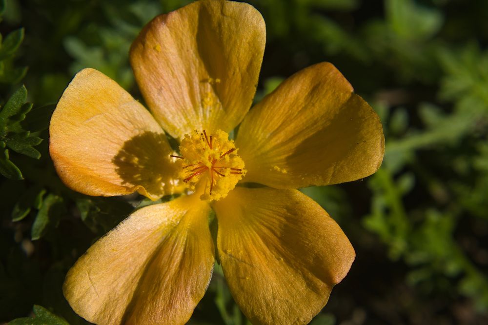 Photograph by Guillermo Topp