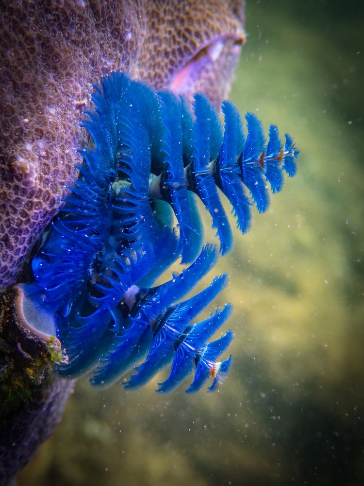 Photograph by Vo Rin