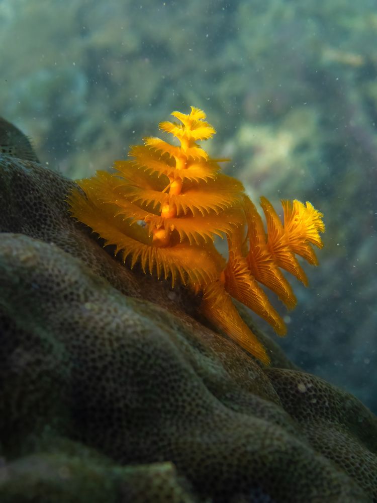 Photograph by Vo Rin