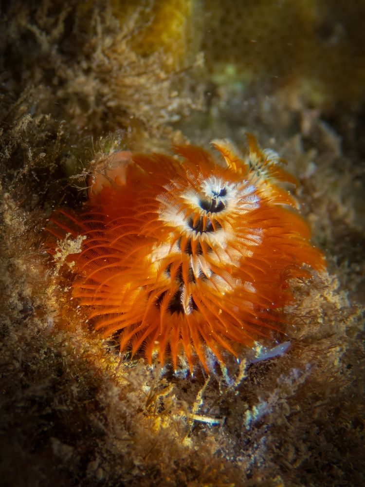 Photograph by Vo Rin