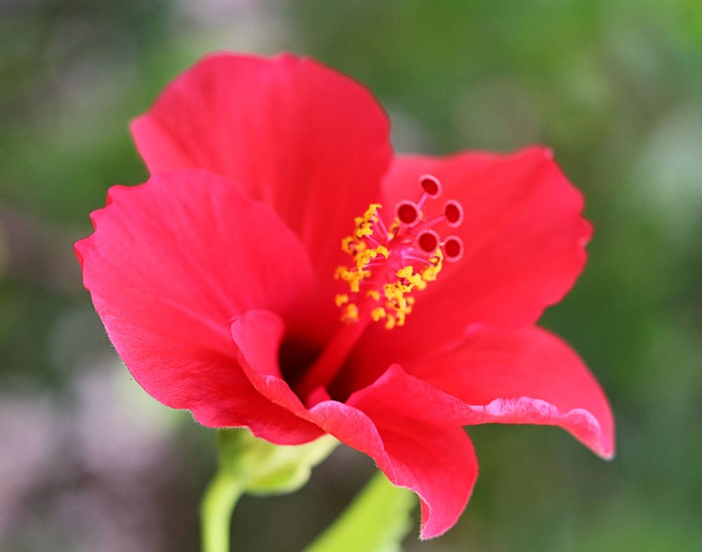 Фотография автора zakaria ahmad