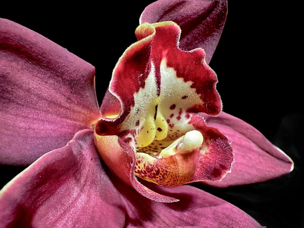 Photograph by Svetlana Rashidova