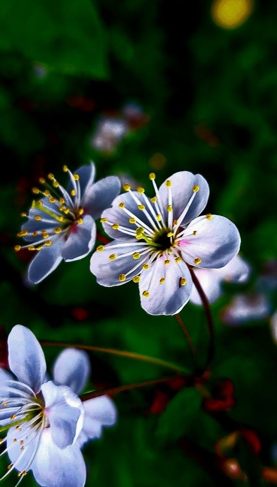 Photograph by Галина Перепечаева
