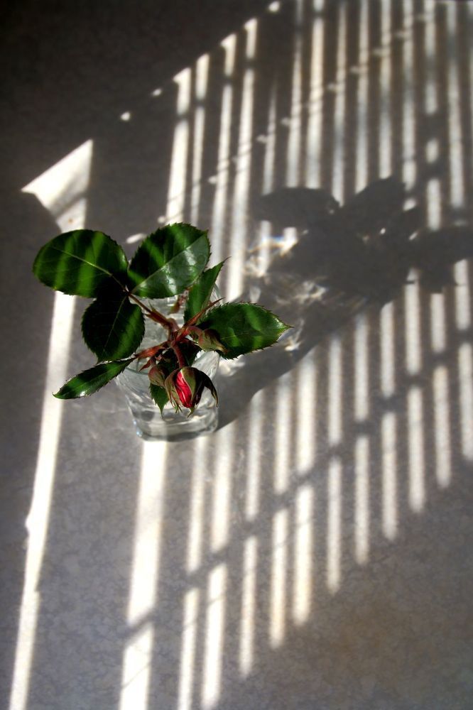 Photograph by Юрий Варюхин