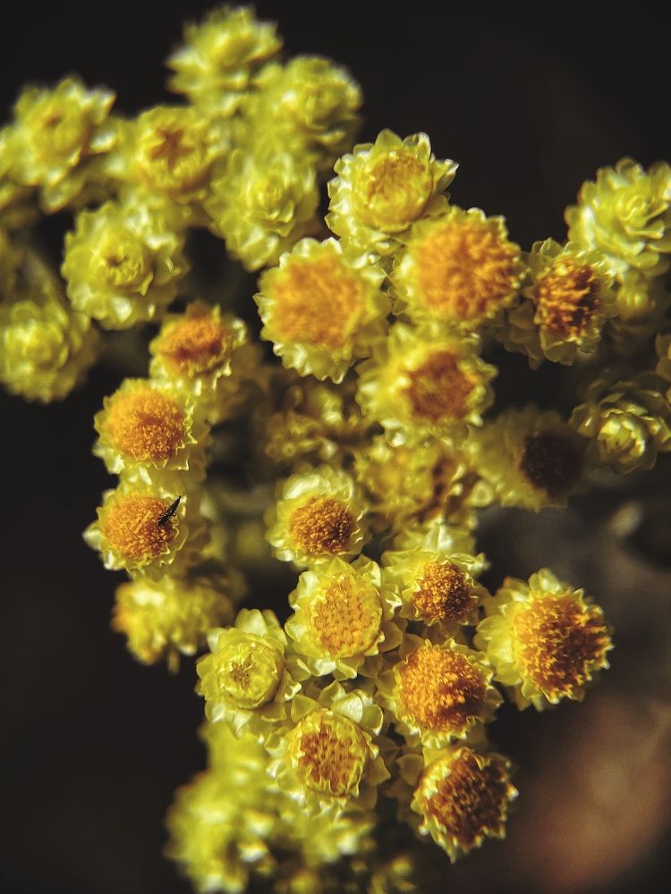 Photograph by Виктория Селютина