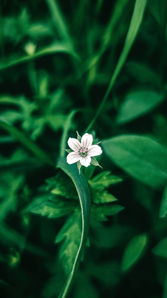 Photograph by Андрей Летов