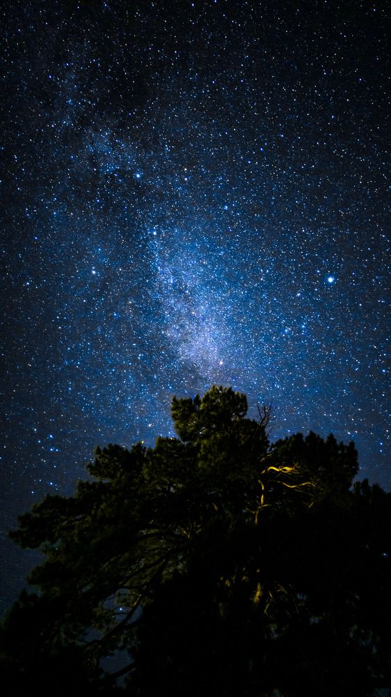 Photograph by Андрей Летов