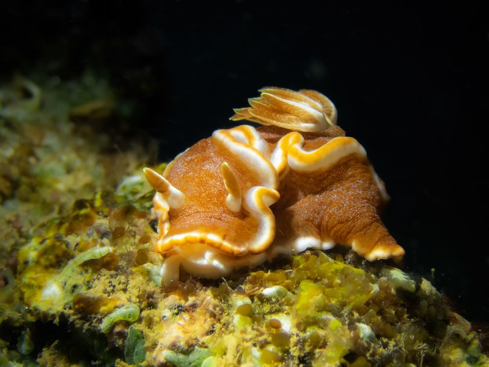 Photograph by Vo Rin