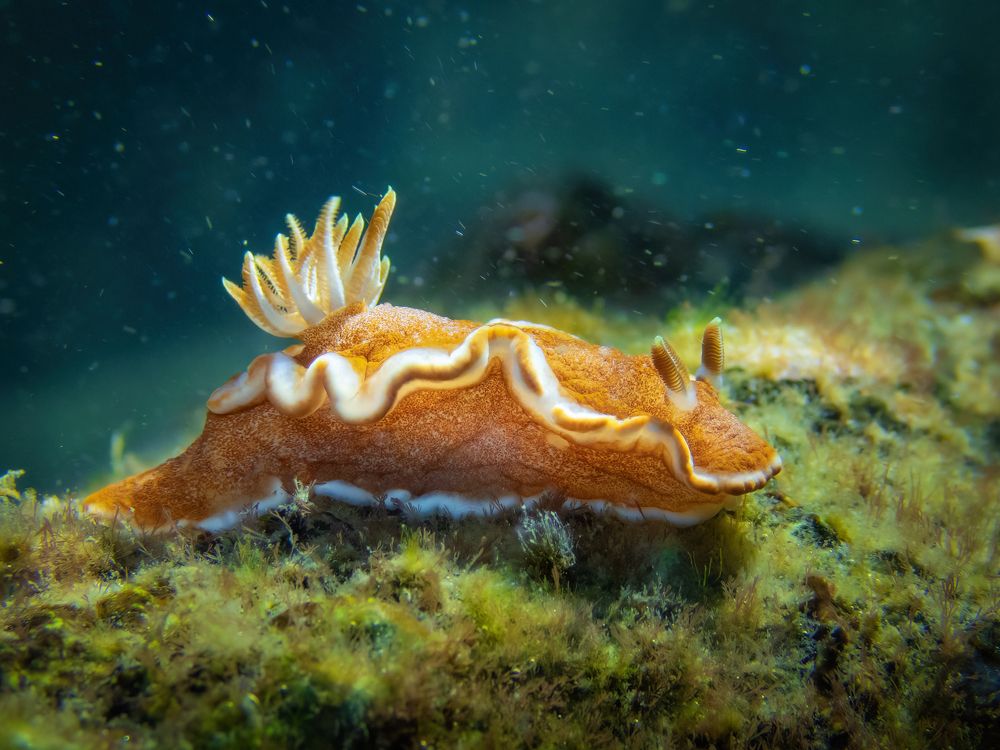 Photograph by Vo Rin