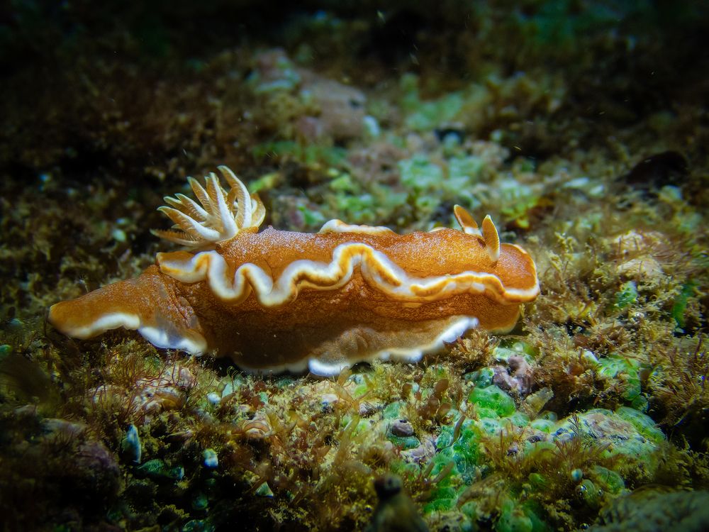 Photograph by Vo Rin