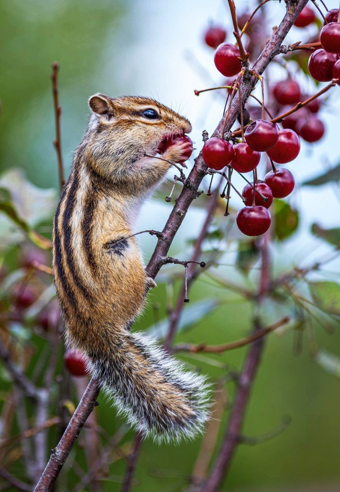 Photograph by Толян Бууулочкин
