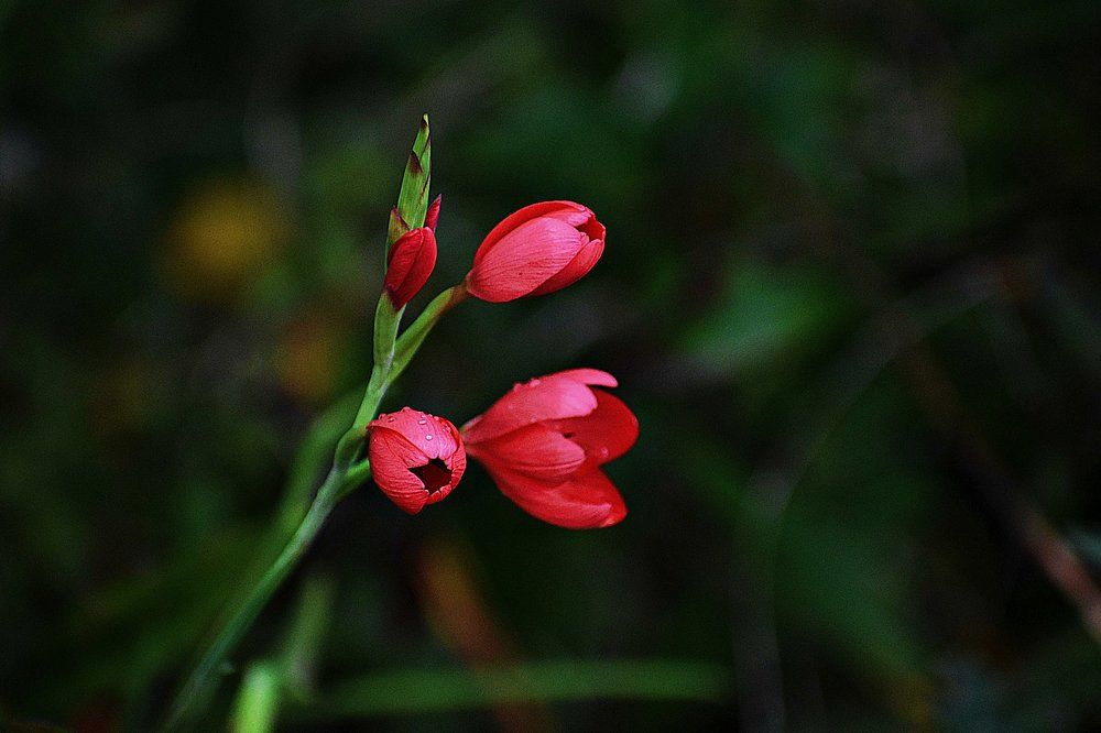 Фотография автора Neil Martin