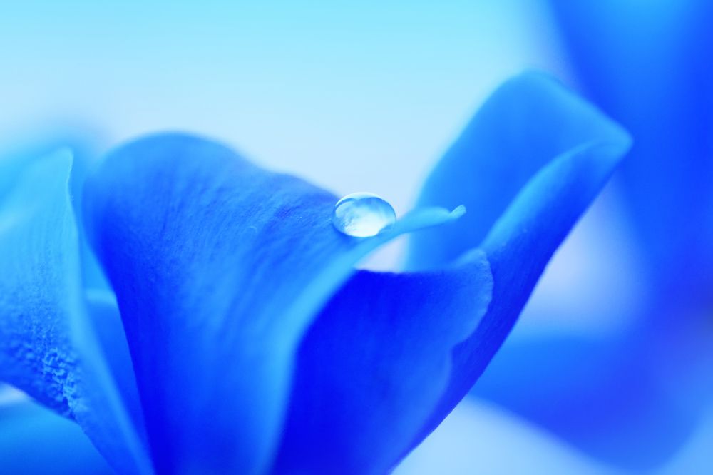 Photograph by Кос Виктория