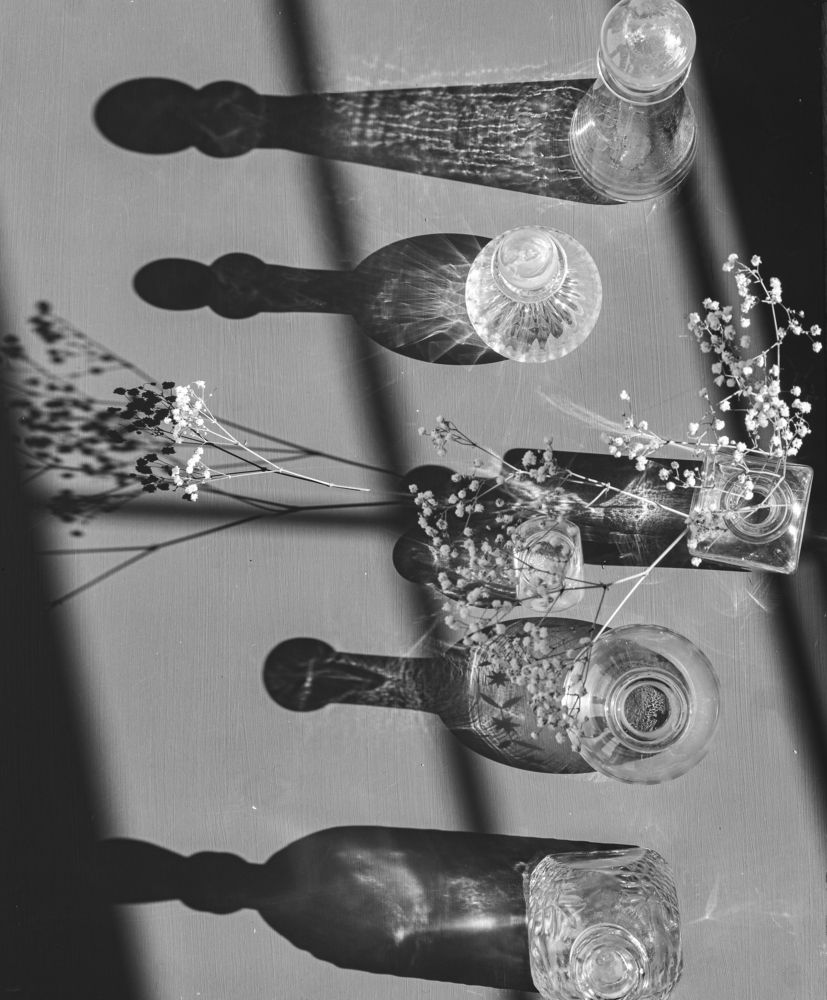 Photograph by Елена Пасажицкая