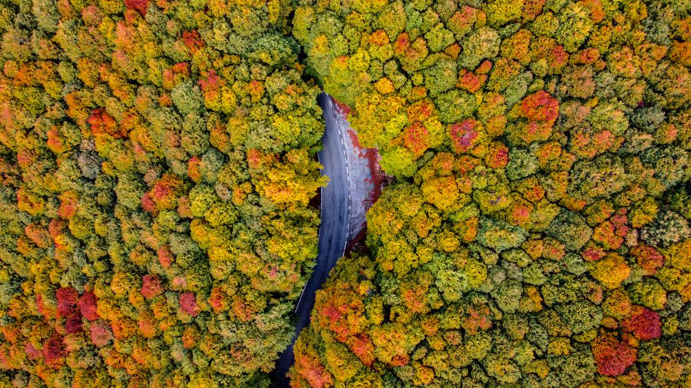 Photograph by Alessio Catallo