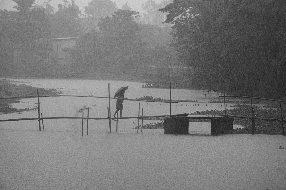 Photograph by Ayman Nakib