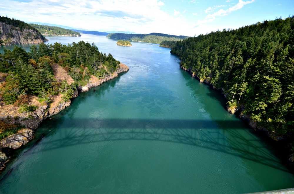 Фотография автора Neil Martin