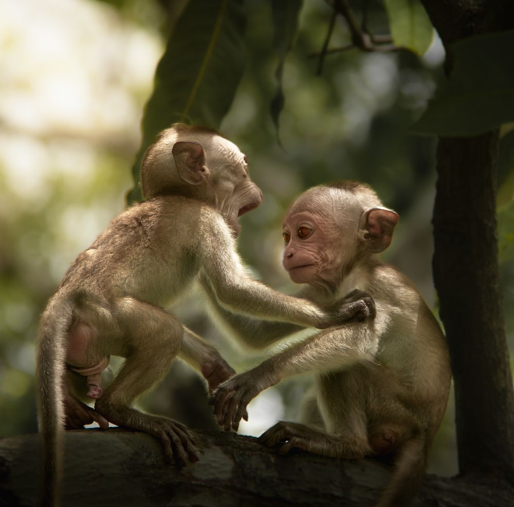 Photograph by Nalin Jerom Nadeshwaran