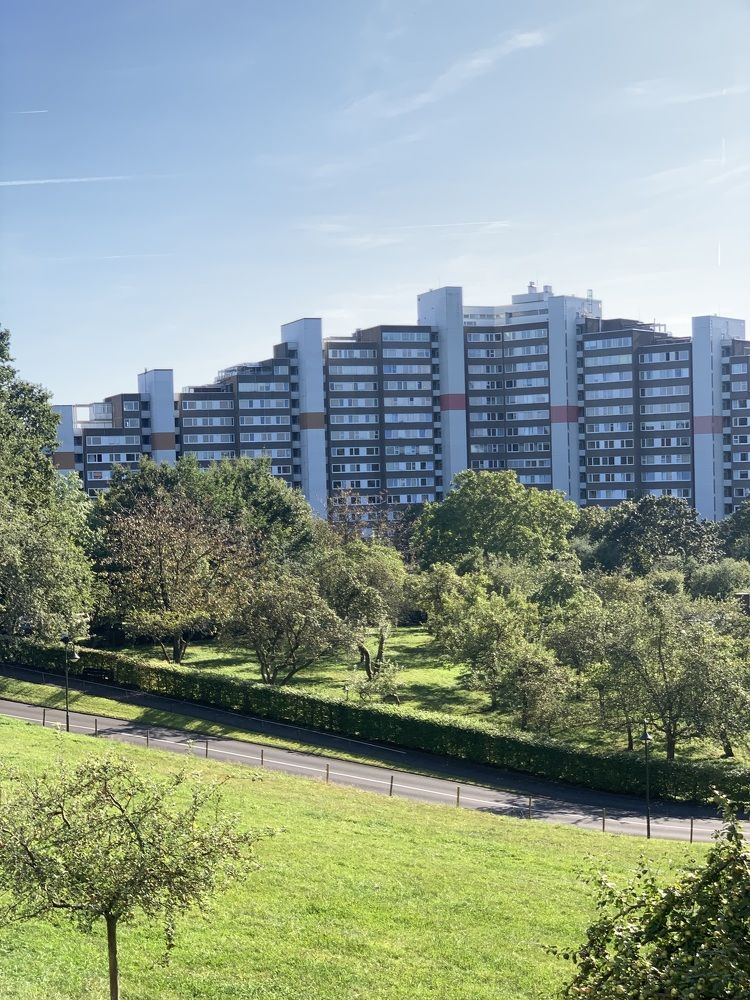 Сады и новостройки