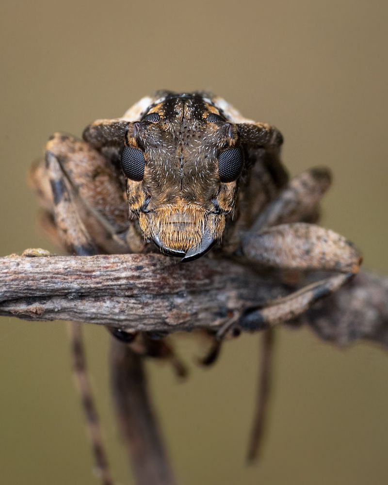 Photograph by Rachana madhav