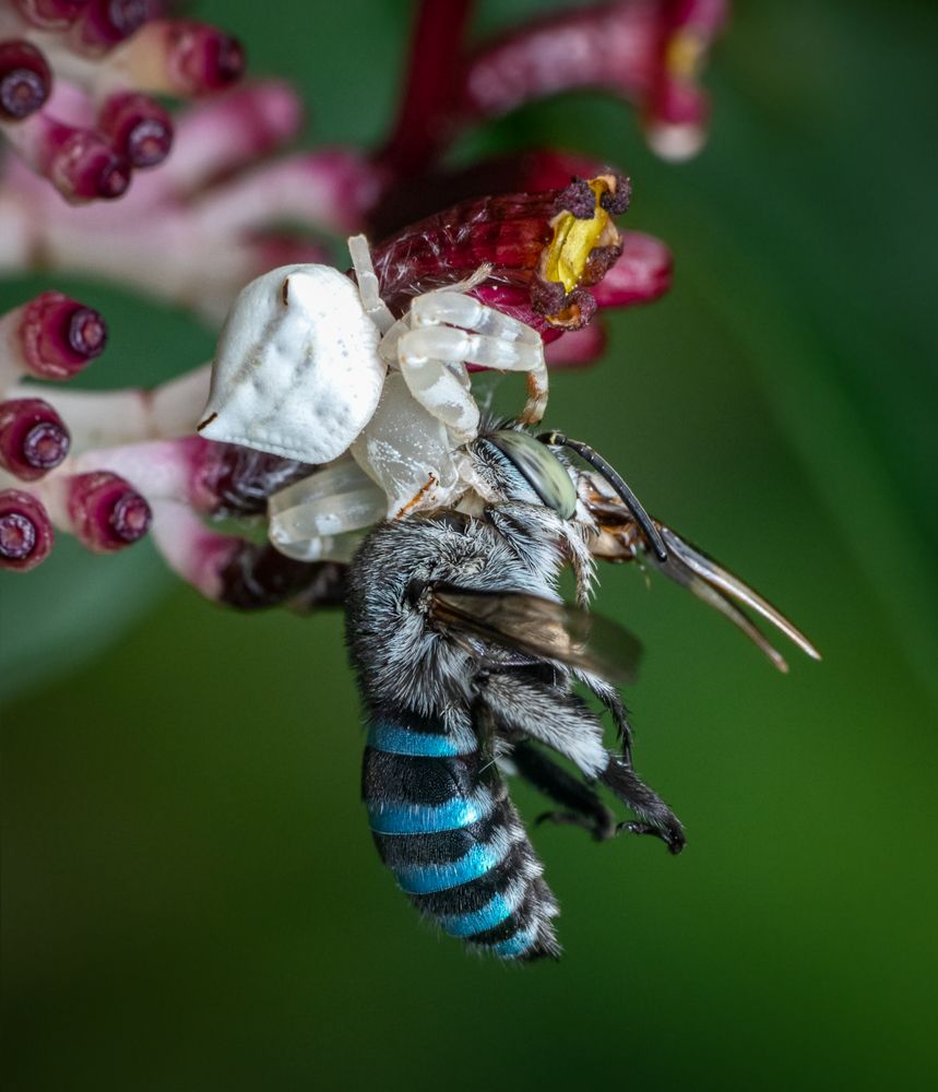 Photograph by Rachana madhav