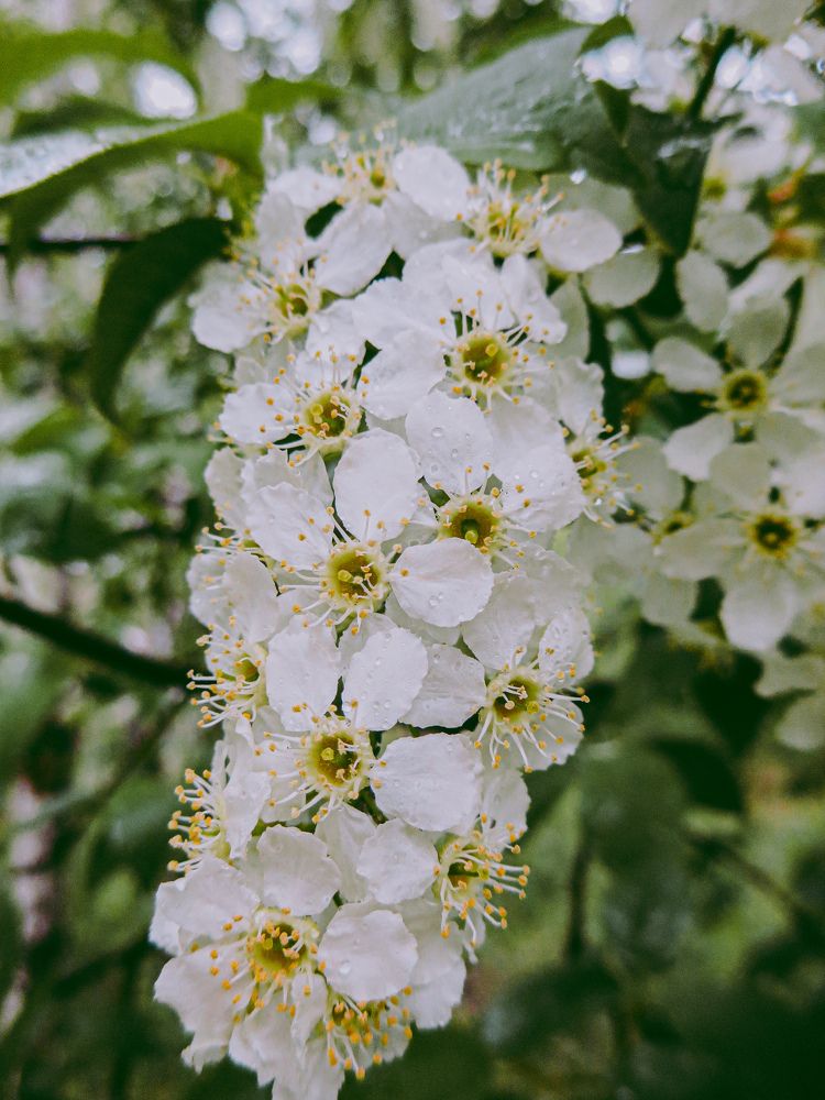 Photograph by Дарья Овсянникова