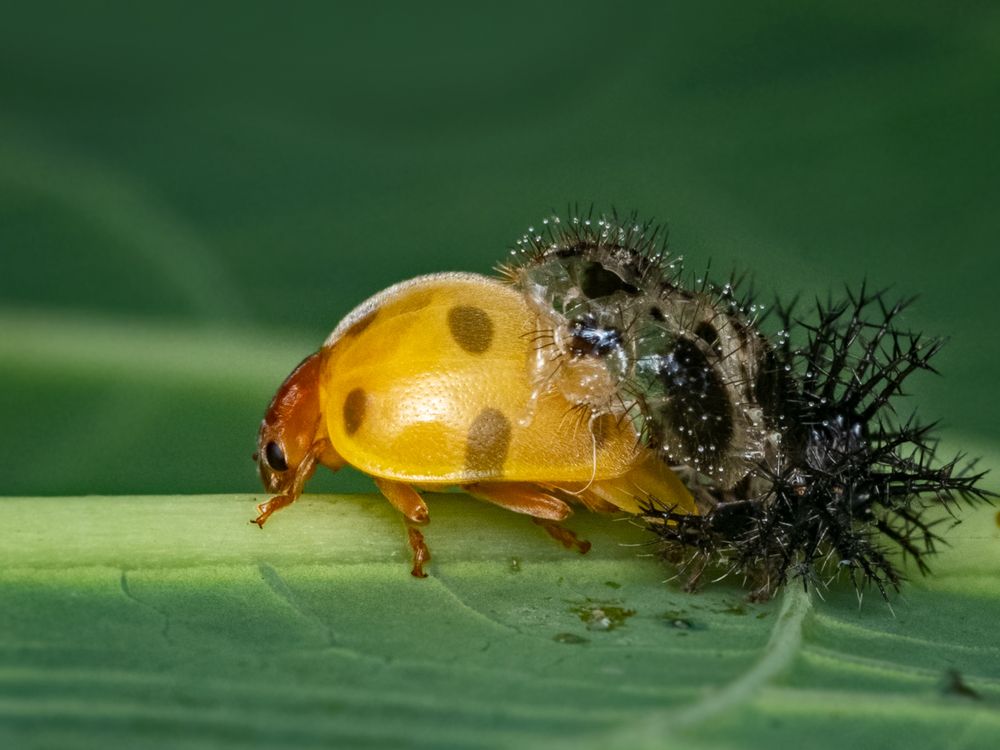 Photograph by Rachana madhav