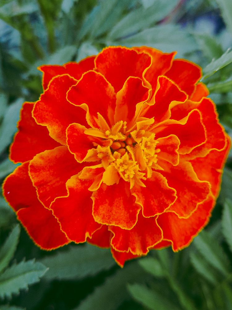 Photograph by Дарья Овсянникова