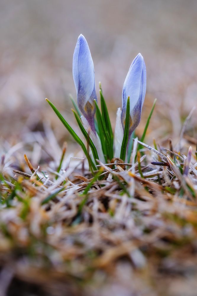 Photograph by Вербицкий Петр