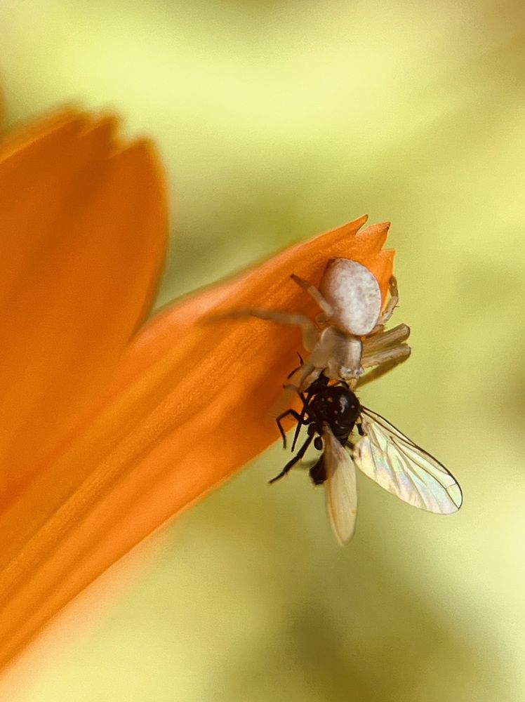 Photograph by Татьяна Михайловна